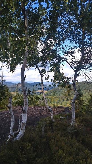 Blick vom Berg Kostrzyna in den Steinbergen